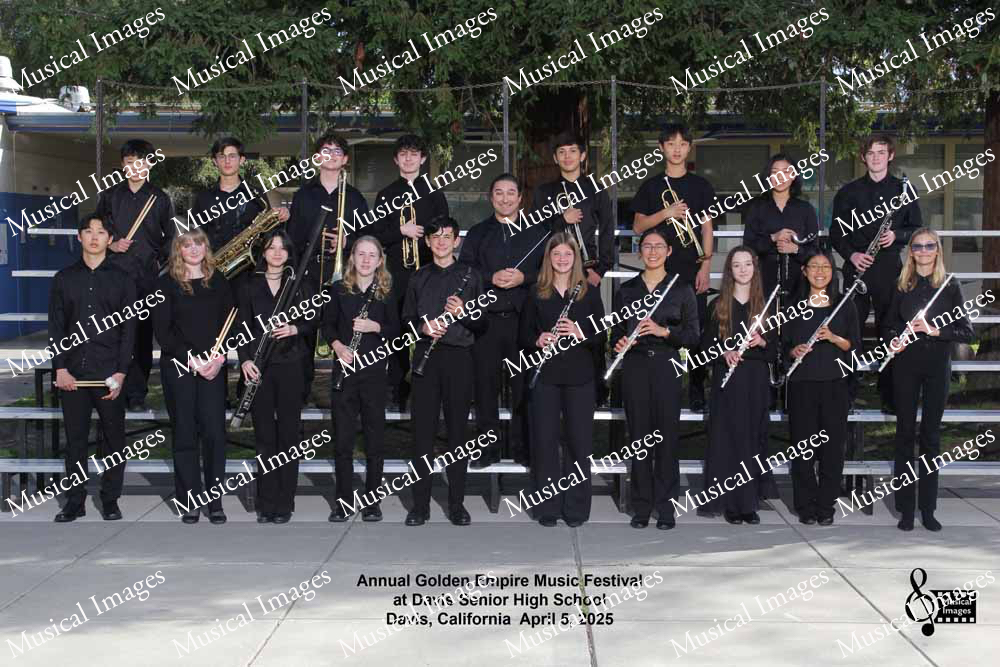 Musical Images